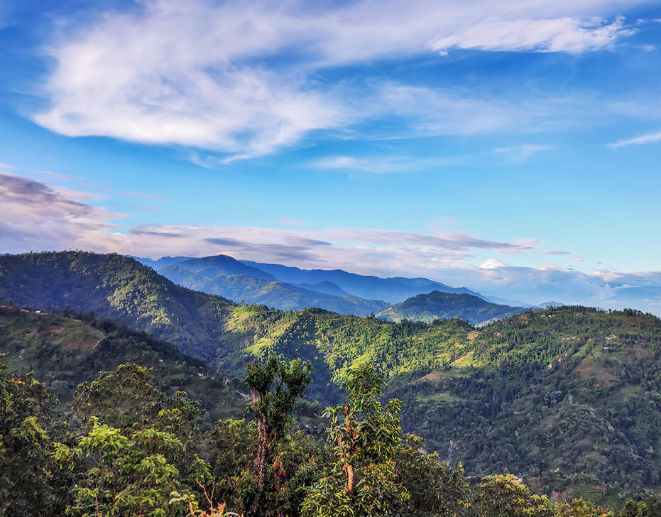 Yelbong View